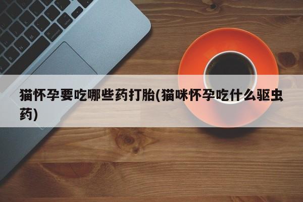 打胎药正品微信联系方式猫怀孕要吃哪些药打胎(猫咪怀孕吃什么驱虫药)